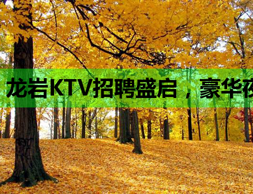 龙岩KTV招聘盛启，豪华夜生活等你来嗨