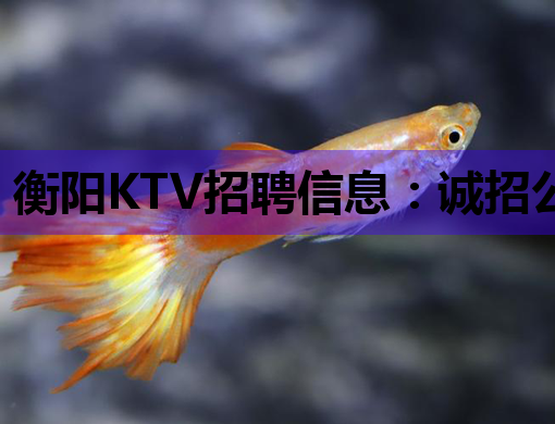 衡阳KTV招聘信息：诚招公关人才，待遇优厚，机会难得！