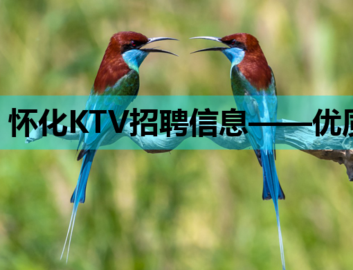 怀化KTV招聘信息——优质岗位等你来挑战！